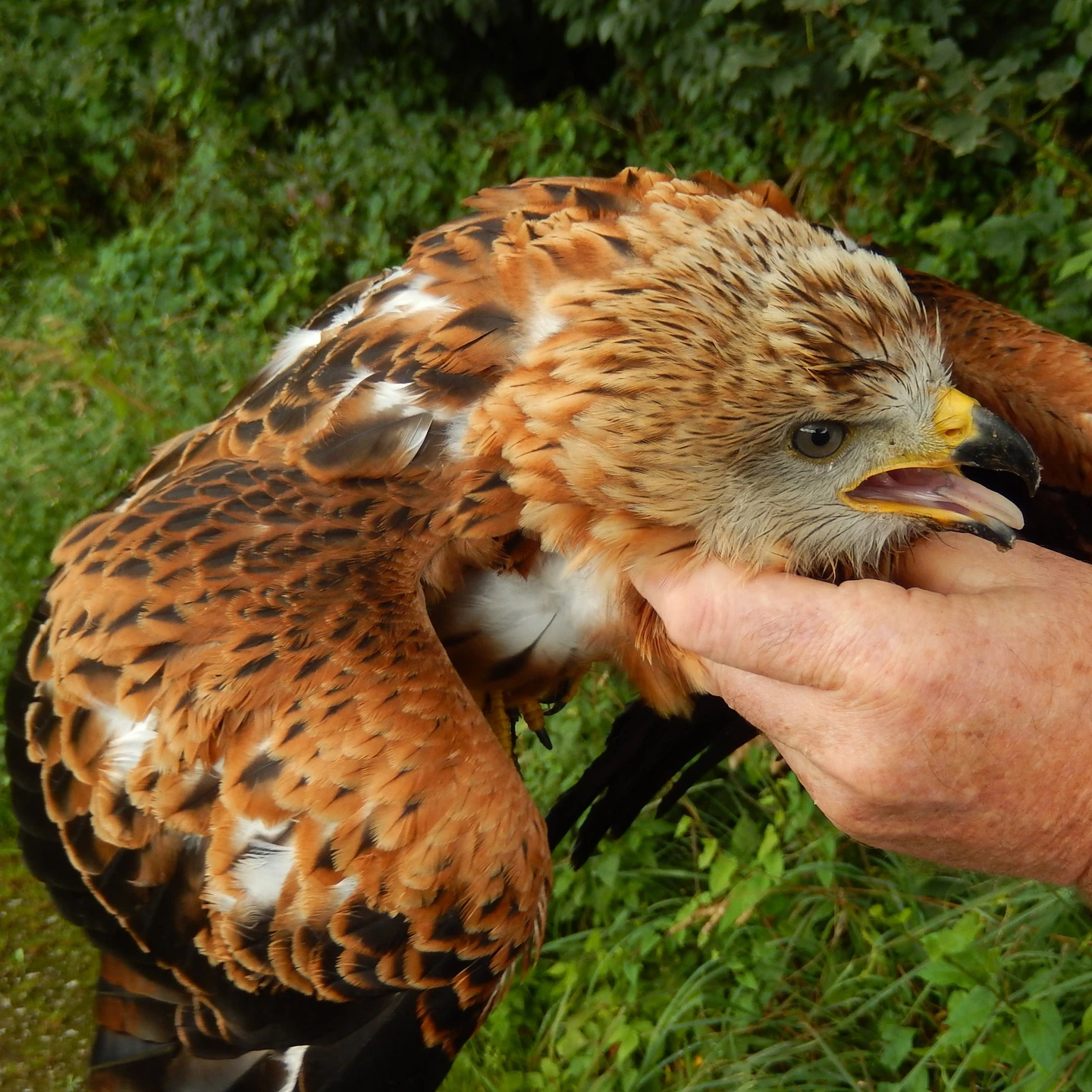 1f87c7df-e1ee-42ac-90a9-ae2a902cd230