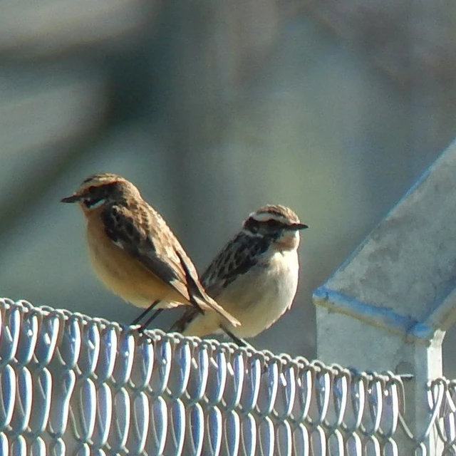 7853a94f-5624-429f-b385-33537bf69199