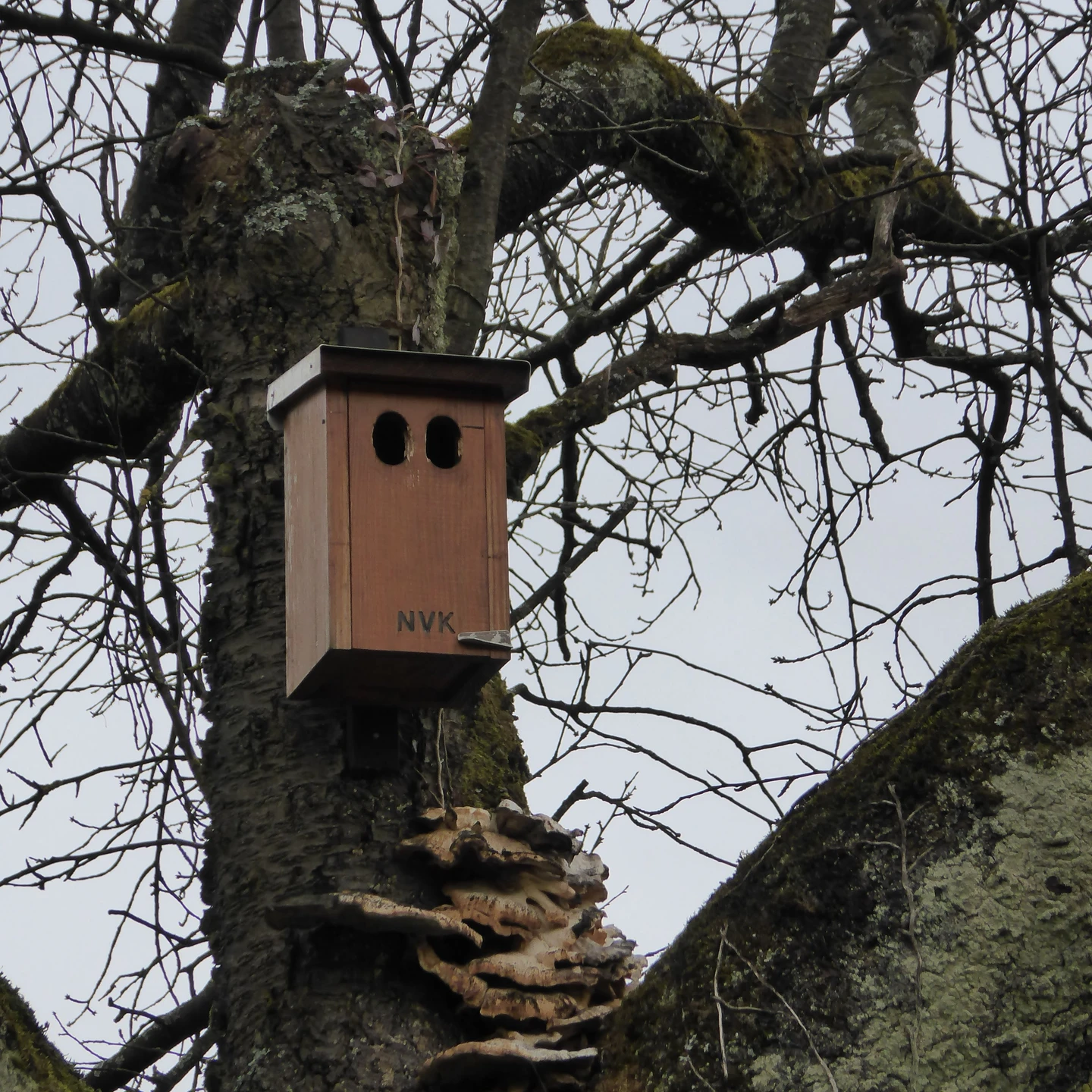 944f941d-af38-435d-b4c9-62506814c95b