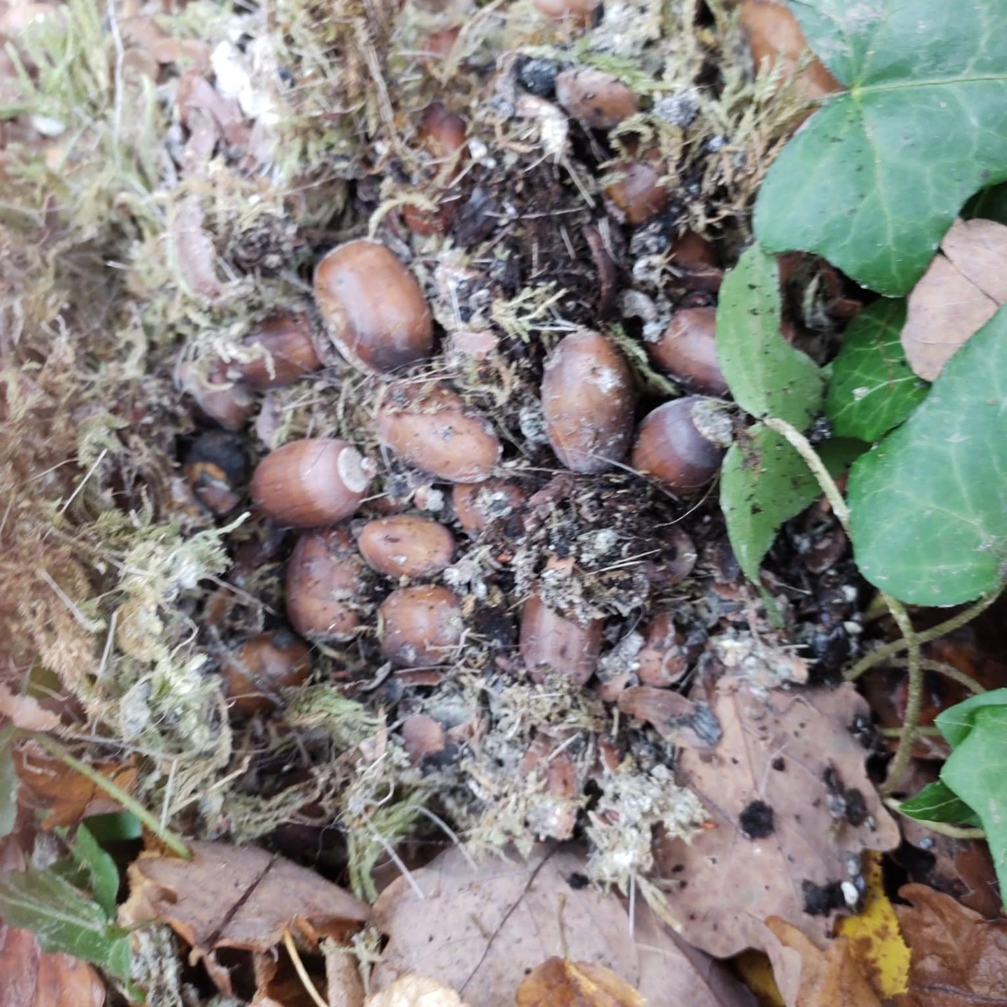 9a208fda-bf88-4289-b7a1-5fcd35dff1ad