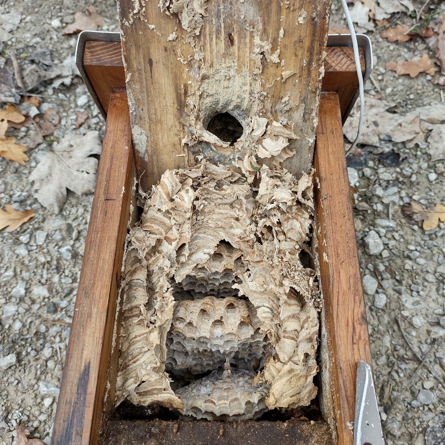 c27306c5-51bd-43f8-889f-58adb9f53bc8